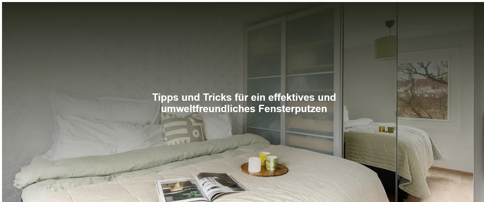 Tipps und Tricks für ein effektives und umweltfreundliches Fensterputzen