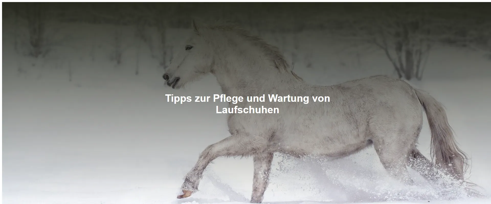 Tipps zur Pflege und Wartung von Laufschuhen